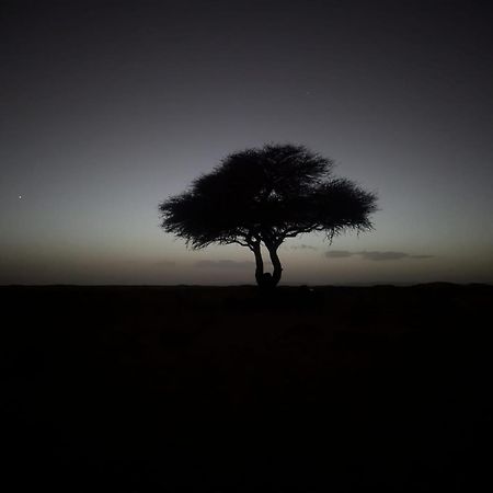 Mhamid Sahara Camp - Mhamid El Ghizlane Hotel M'Hamid Luaran gambar