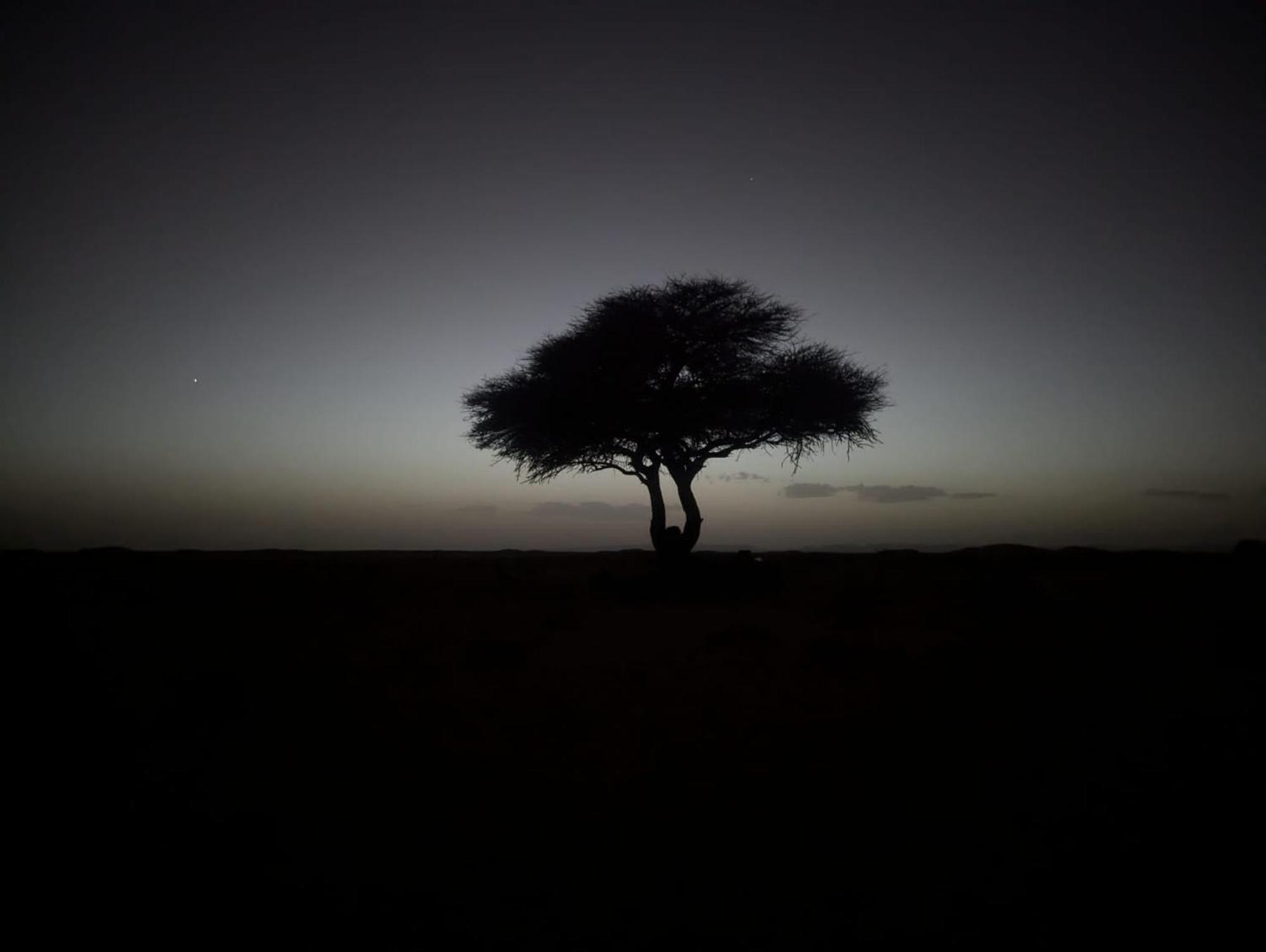 Mhamid Sahara Camp - Mhamid El Ghizlane Hotel M'Hamid Luaran gambar